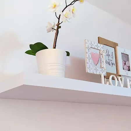 Apartamento Izaña *